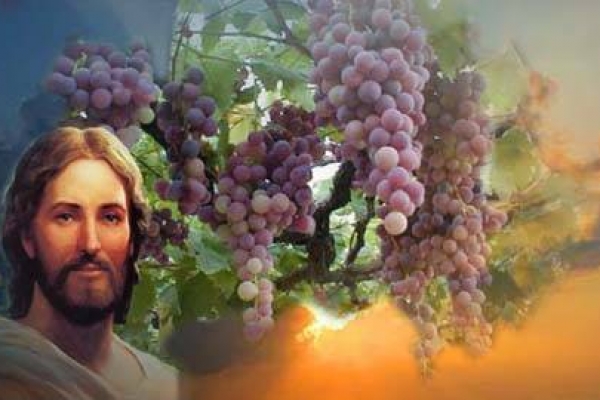 I AM the True Vine, Remain in Me